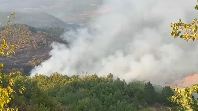Zjarri prej gati një jave në Ungrej të Lezhës, 150 forca në terren dhe helikopter nga ajri! Vatrat e mëdha nën kontroll, por rreziku nuk ka kaluar