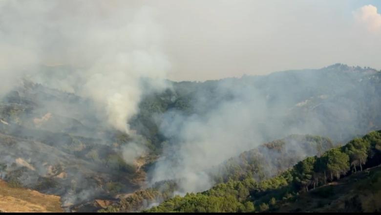 Riaktivizohet zjarri në Cërrilë të Mallakastrës, flakët përhapen me shpejtësi në pyllin me pisha! Mbërrin helikopteri për ndërhyrje nga ajri