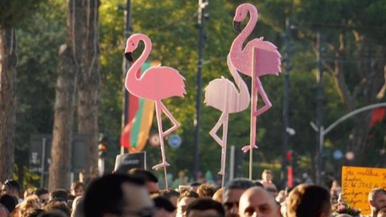 Ylli Pata: Flamingot e hershme të Shtëpisë së Verdhë