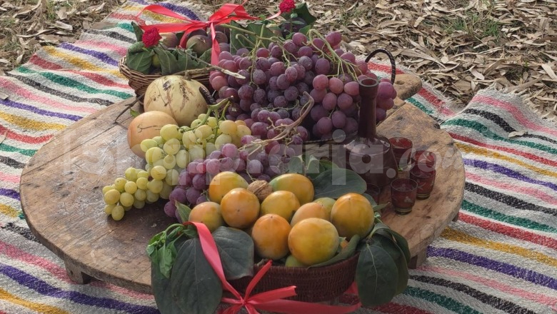 Mbahet në Toshkëz të Lushnjës, 'Festa e vreshtarisë'! Tradita dhe puna e fermerëve në një panair