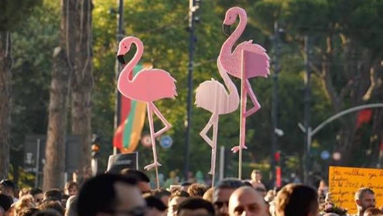Bjorn Runa: Flamingot dhe hiperpolitika e të vetëndjerit të rëndësishëm