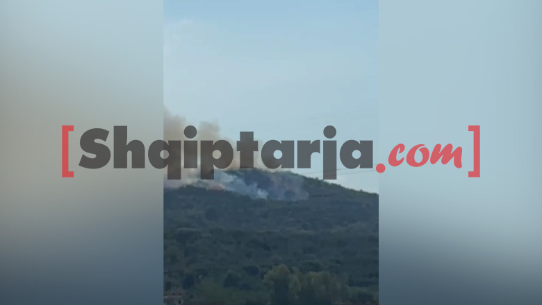 Zjarr në Shushicë të Vlorës, flakët rrezikojnë tre banesa