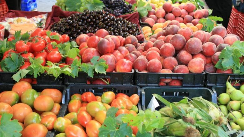 Fatos Çoçoli: A u ulën çmimet e importit në 8 muajt e parë në Shqipëri?