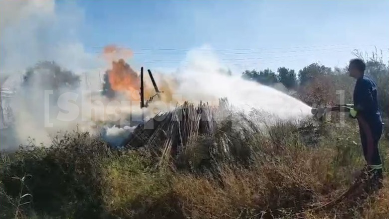 Zjarr i përmasave të mëdha në fshatin Delisuf të Vlorës, flakët djegin sipërfaqe të mëdha me pemëtari dhe një stallë bagëtish