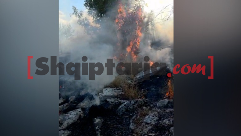 Zjarr në fshatin Jorgucat të Gjirokastrës, flakët u përhapën pas rënies së rrufesë në majë të malit