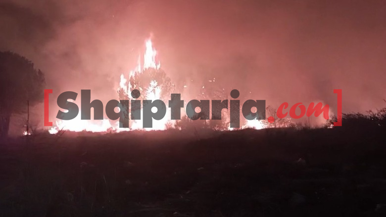 Zjarr masiv në Gjirin e Lalëzit, flakët i afrohen një hoteli! Neutralizihet vatra pranë Parkut Arkeologjik të Apolonisë