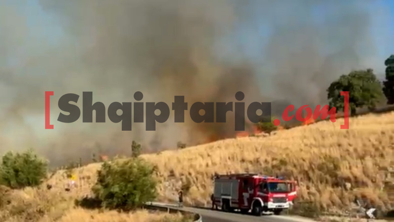 Himarë/ Zjarr në kodrat e Llamanit, flakët përparojnë falë erës së fortë