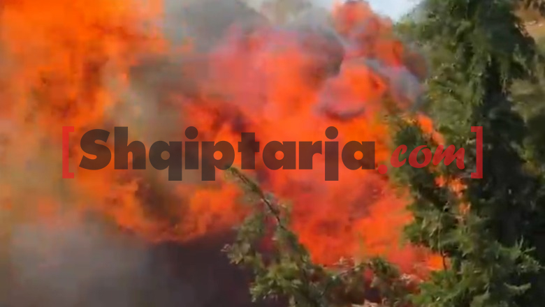 Zjarr në zonën mbi Spitalin Rajonal të Vlorës, flakët e favorizuara nga banesat u afrohen banesave (VIDEO)