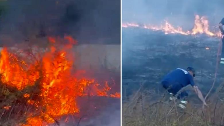 Zjarr në Parkun Natyror të Viroit në Gjirokastër, dyshohet i qëllimshëm