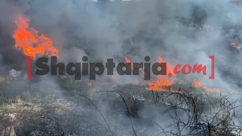Zjarr pranë liqenit të Zagracës në Krujë, digjen pyje me pisha (VIDEO)