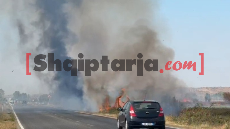 Digjen toka e mbetje bujqësore, zjarr pranë autostradës Lezhë-Shkodër! Tym i dendur në zonë