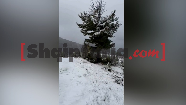 Dimri troket që në shtator, dëbora zbardh bjeshkët e Tropojës