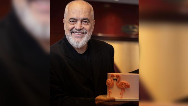 Takimi me shqiptarët në New York, Rama ‘surprizohet’ me një tortë me simbolin e flamingove
