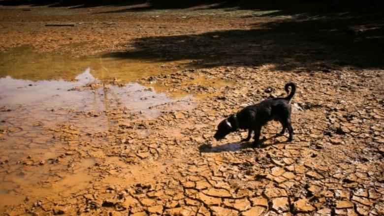 El Nino do të sjellë më shumë nxehtësi, thatësira dhe përmbytje! Fenomeni që po ngroh oqeanin Paqësor mund të jetë më i forti në 1 mijë vjet
