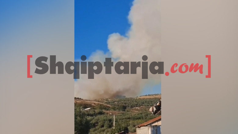 Fier/ Zjarr i përmasave të mëdha në ullishtet e Kreshpanit, flakët favorizohen nga era e fortë! Rrezikohet edhe masivi pyjor me pisha