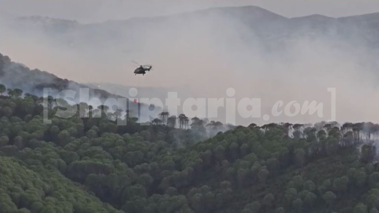 Zjarr në Topojë e Kreshpan të Fierit, flakët përhapen me shpejtësi nga era e fortë! Rrezikohen sipërfaqe me ullishte e pisha (VIDEO)
