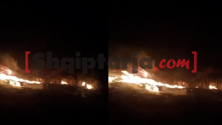 Vlorë/ Zjarr në një sipërfaqe me bimësi në fshatin Bishan, flakët favorizohen nga era e fortë (VIDEO)