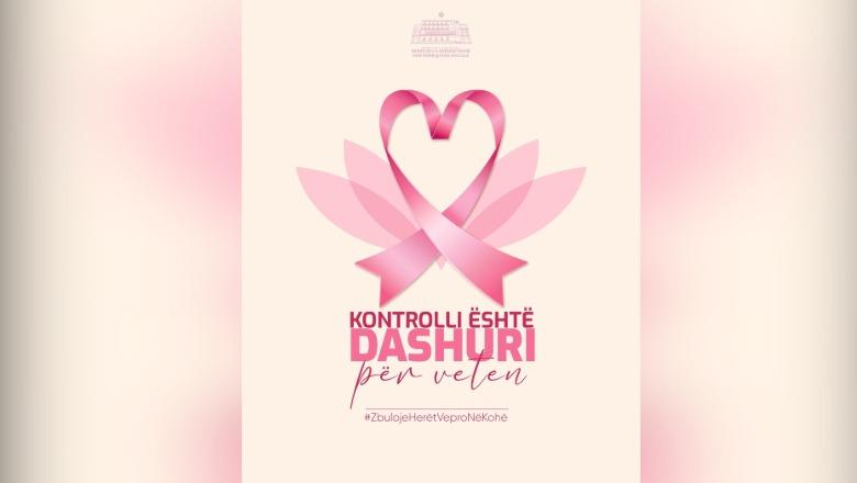 ‘Tetori Rozë’, ISHP mesazh ndërgjegjësimi: Kontrolli është dashuri për veten! Zbuloje herët, vepro në kohë!
