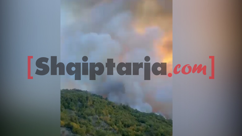 Vijon zjarri në Galush dhe Gjevur të Peqinit, nis ndërhyrja nga ajri