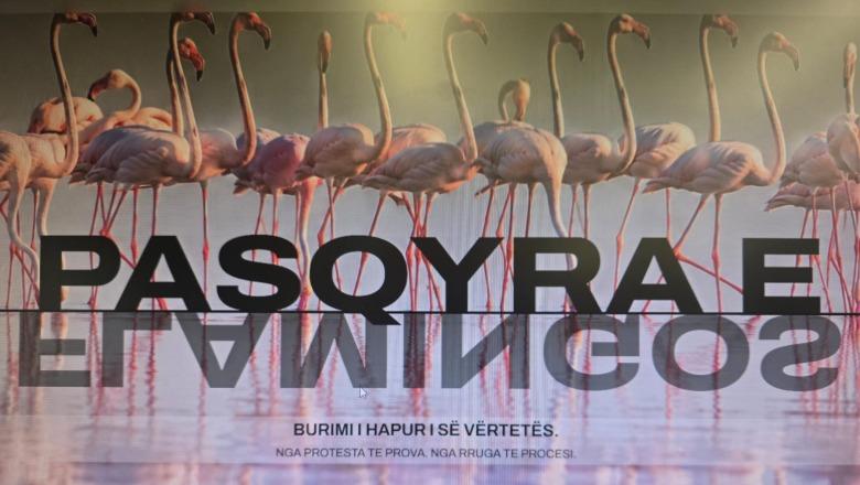 Prezantohet ‘Flamingo Mirror’, publikohen dokumentet për Sazanin dhe Zvërnecin! Rama: Së shpejti ‘dosja’ e Kayo