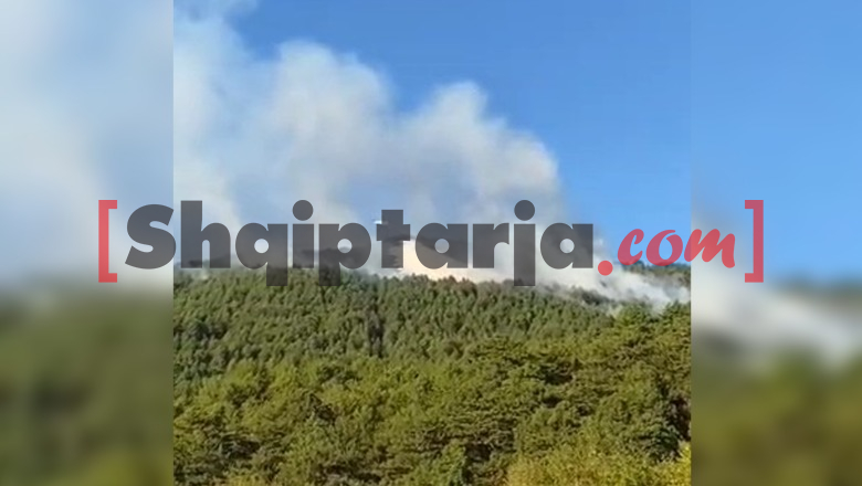 Zjarri në majën e Bukanikut në Gjinar, ndërhyn avioni ‘Air Tractor’