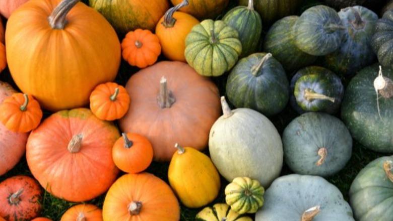 Kungulli i pjekur, aleati i shëndetit në vjeshtë! I pasur me vitamina e fibra, por diabetikët duhet të kenë kujdes