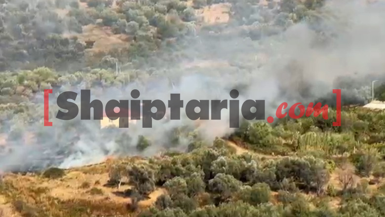 Fier/ Zjarri në Mërgliç vazhdon të përhapet, flakët i afrohen banesave! Pritet ndërhyrja nga ajri, tymi mbulon edhe Patosin