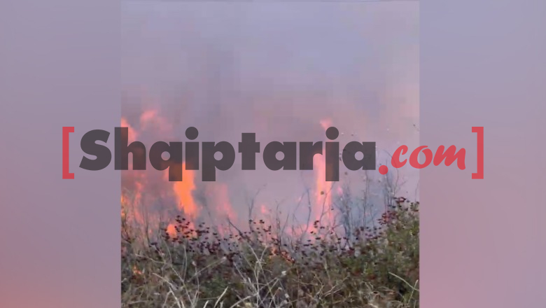Era riaktivizon zjarrin në fshatin Marglliç, zjarrfikësit në luftë me flakët (VIDEO)