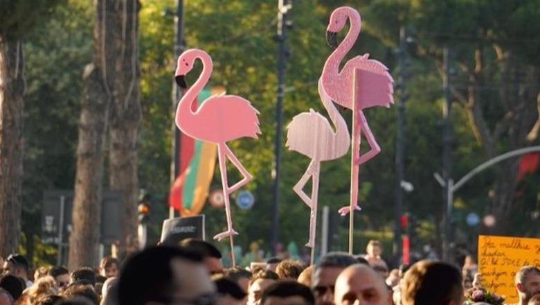 Ylli Pata: Pse flamingot e mbetura prishin koncertet?