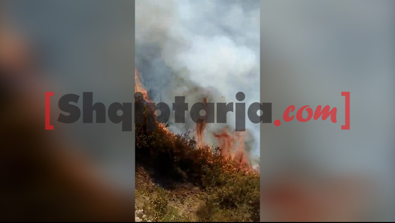 Zyrtarisht në vjeshtë, por vendi s'gjen qetësi nga zjarret! 2 vatra aktive në Kukës, problematike ajo në në fshatin Kollovoz