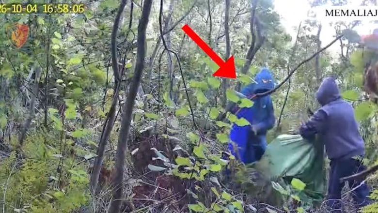 Memaliaj/ Dy vëllezërit kultivonin kanabis, arrestohet 28-vjeçari! Shpallet në kërkim tjetri
