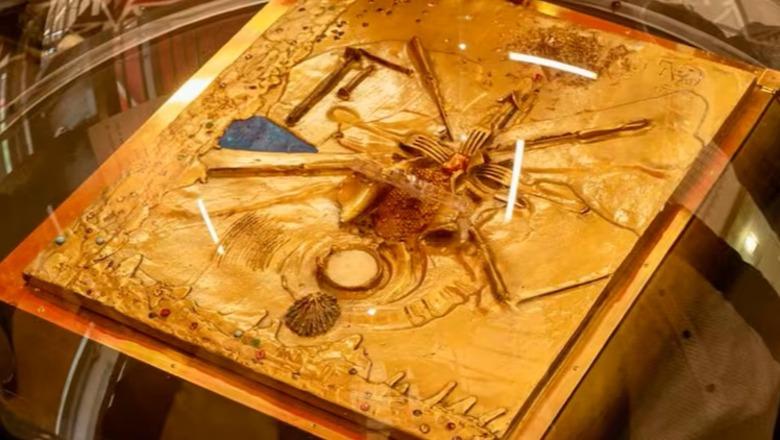 E vlerësuar në 2 mln franga, grabitet në muzeun francez kopertina e skalitur nga Salvador Dalí