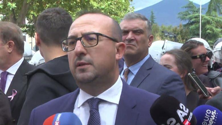 Protesta e PD, Korreshi: Perimetër kafshërie, njerëzit janë sulmuar me spray me piper