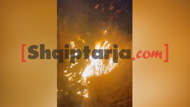 Zjarr në afërsi të Liqenit të Viroit, ndërhyjnë zjarrfikësit e Gjirokastrës, shmanget përhapja e flakëve
