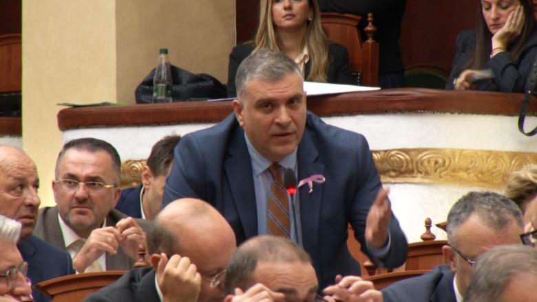 Hiqen 2 pika dhe 4 interpelanca nga rendi i ditës, Blushi: Rama sot është këtu! Shpresoj që Braçe të dalë gjallë, s’ka axhendë tjetër veç ‘Territoriales’