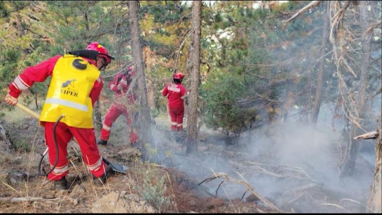 Propozimi/ Emergjencat do t’i bëjnë vetë tenderët! Agjencia Kombëtare e Mbrojtjes Civile me kompetenca për rindërtimin e infrastrukturës kritike