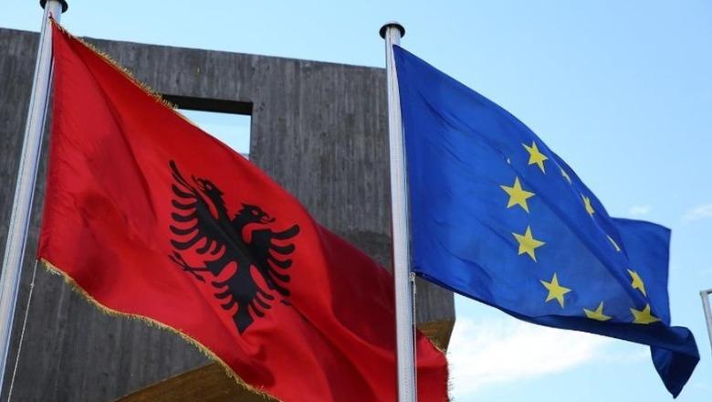 Protestat e dhunshme në Tiranë, Delegacioni i BE-së për Report TV: Të gjitha palët të ulin tensionet, dialogu është zgjidhja