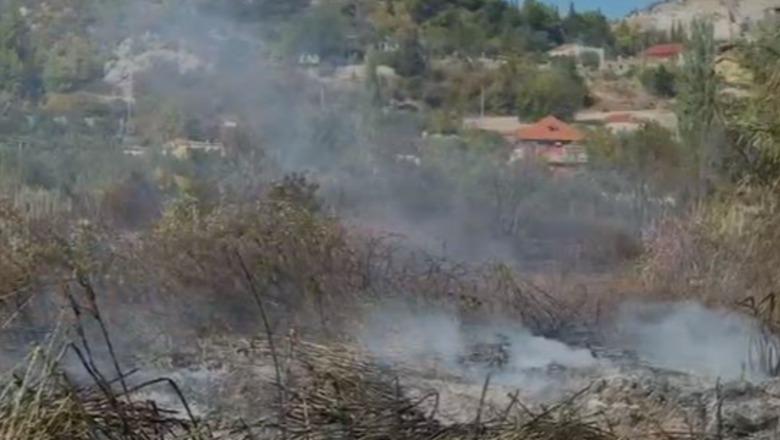 Zjarr në Pllanë të Lezhës, flakët i afrohen banesave! Digjen ferra dhe pemëtari