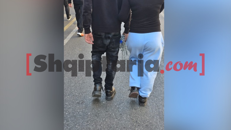 FOTOLAJM/ Protestues me zinxhirë e dryna në duar në rrugët e Tiranës