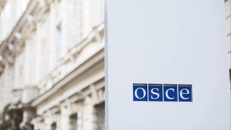 Protestat e dhunshme në Shqipëri, OSBE reagon e shqetësuar dhe dënon sulmet ndaj medias: Palët të përmbahen, dhuna s’ka vend në demokraci