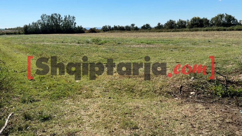 Tokat po mbeten djerrë në Kurbin, fermerët në Fushë-Kuqe po heqin dorë nga bujqësia: Kostot e larta dhe mungesa e subvencioneve na vështirësojnë punën