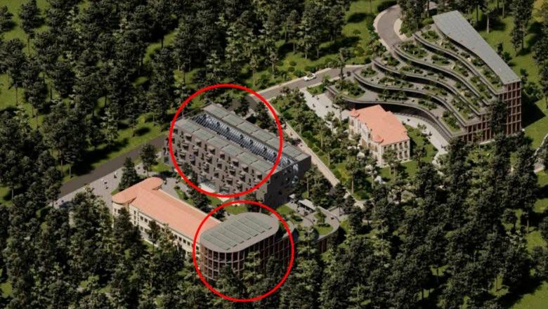 Vijon prerja e pishave në ambientet e Universitetit të Korçës, pedagogu ngre alarmin: Dëm i madh mjedisor! (VIDEO)