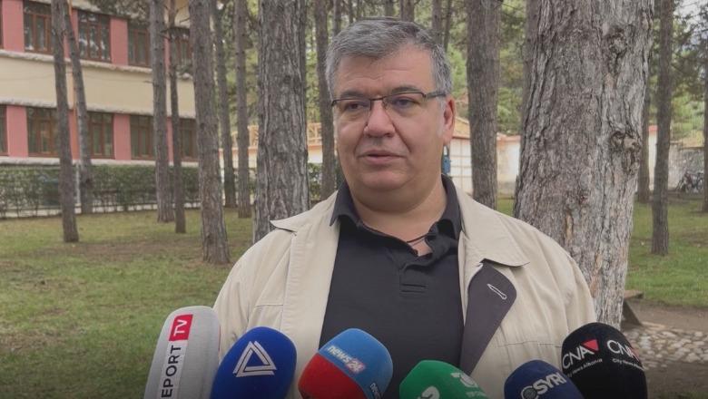 Vijon prerja e pishave në ambientet e Universitetit të Korçës, pedagogu ngre alarmin: Dëm i madh mjedisor!