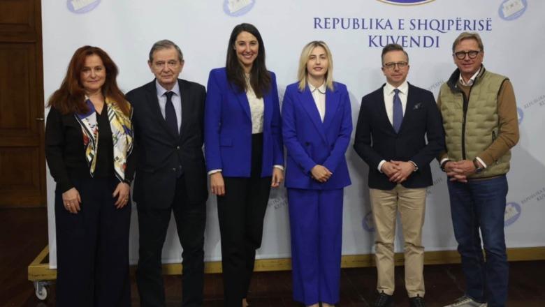 Takimi me eurodeputetët, Ina Zhupa: Kërkojmë qeveri tranzitore pa Edi Ramën