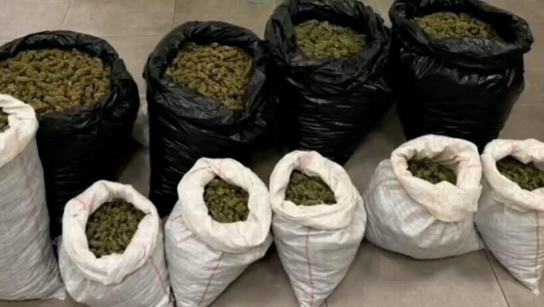 Mbi 56 kg kanabis të fshehura në pyllin e Komanit, droga transportohej me varka dhe makina për t’u shitur! 4 të arrestuar, një tjetër nën hetim (VIDEO)