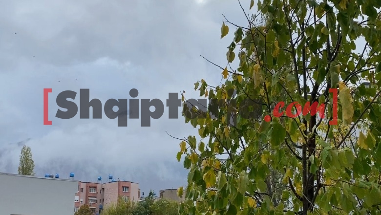 Kukësi përfshihet nga reshjet e shiut dhe mjegulla! Rënie inertesh në disa akse