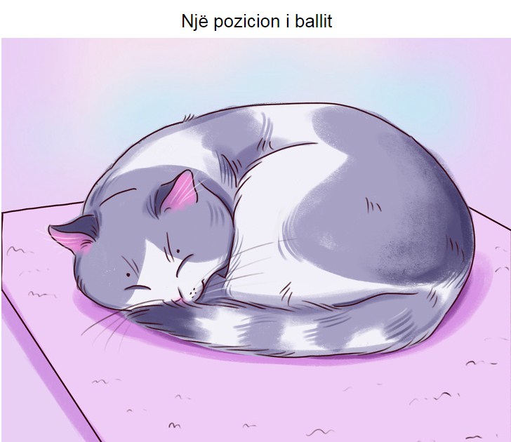 Rule 34 cat nap